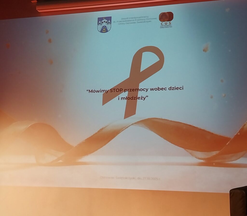 Zdjęcie ekranu z seminarium "Mówimy STOP przemocy wobec dzieci i młodzieży"